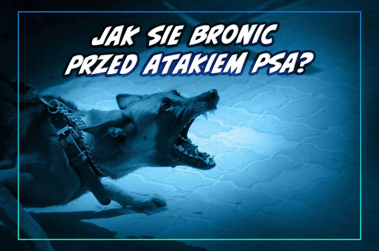 Jak bronić się przed psem: skuteczne metody obrony przed atakiem