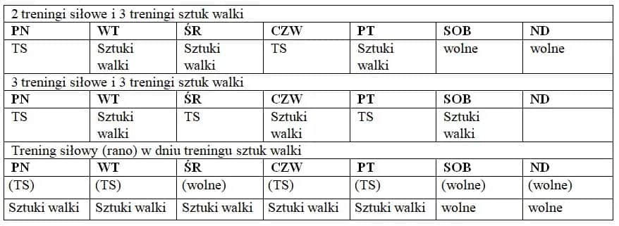 Jak cwiczyc MMA: skuteczne techniki i plany treningowe dla początkujących
